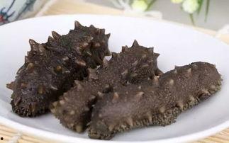 妖怪爆料海参视频在线观看,妖怪爆料视频带你探秘海洋奇观 第3张 妖怪爆料海参视频在线观看,妖怪爆料视频带你探秘海洋奇观 第3张